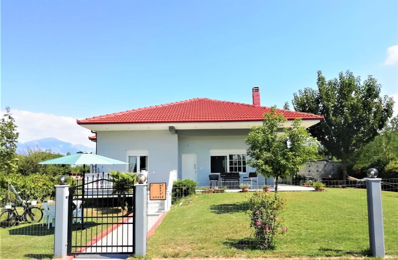 Deppy'S House Κοντά Στα Λουτρά Πόζαρ Apartment Chrysi Luaran gambar