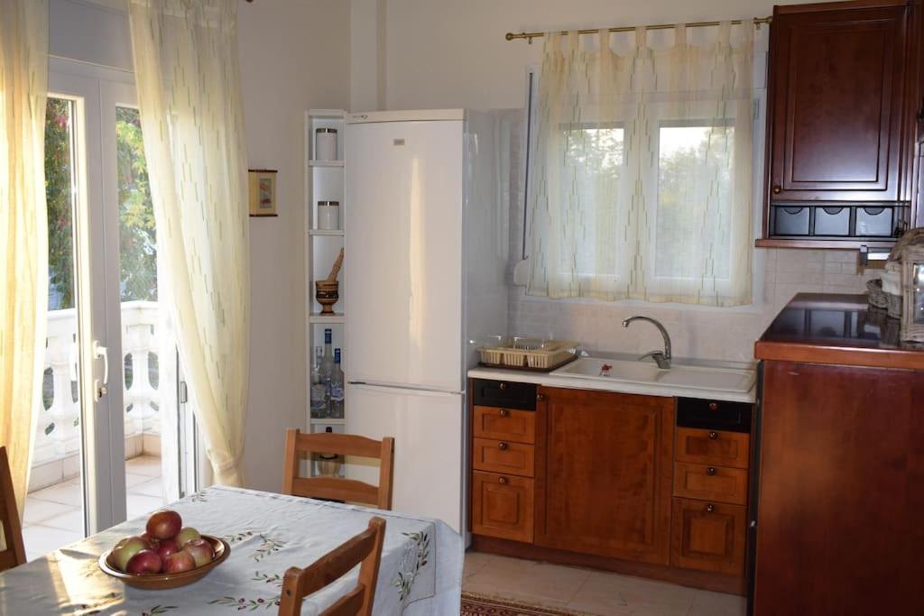 Deppy'S House Κοντά Στα Λουτρά Πόζαρ Apartment Chrysi Luaran gambar
