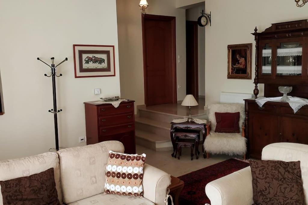 Deppy'S House Κοντά Στα Λουτρά Πόζαρ Apartment Chrysi Luaran gambar
